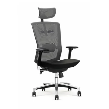 AMBASADOR ergonomikus irodai forgószék állítható deréktámasszal, jól szellőző hálós háttámlával, masszív fém lábkereszttel