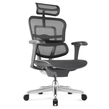 ERGOHUMAN II PROJECT prémium ergonomikus forgószék teljesen hálós ülőfelülettel, számtalan beállítási lehetőséggel, fekete színben, 3 év gyártói garanciával