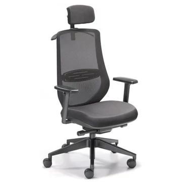 IBISA nagy teherbírású ergonomikus forgószék, fejtámlával, ülésmélység-állítással