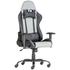 Kép 1/2 - ALPHA RACING gamer forgószék magas, teljesen hatra dönthető háttámlával, nyak- és deréktámasztó párnával, teherbírás: 110 kg, garancia: 2 év, szürke-fekete